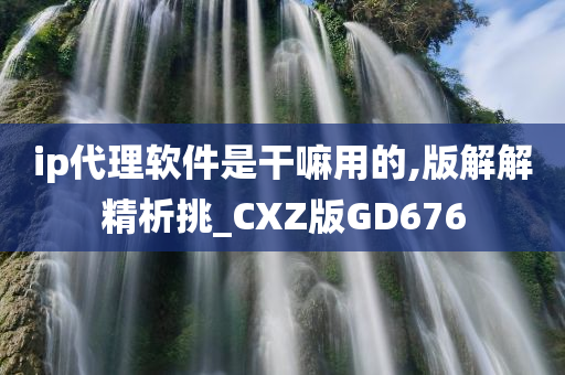 ip代理软件是干嘛用的,版解解精析挑_CXZ版GD676