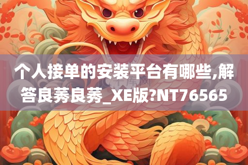 个人接单的安装平台有哪些,解答良莠良莠_XE版?NT76565