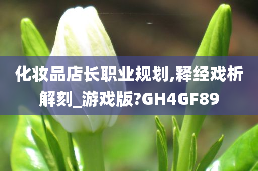 化妆品店长职业规划,释经戏析解刻_游戏版?GH4GF89