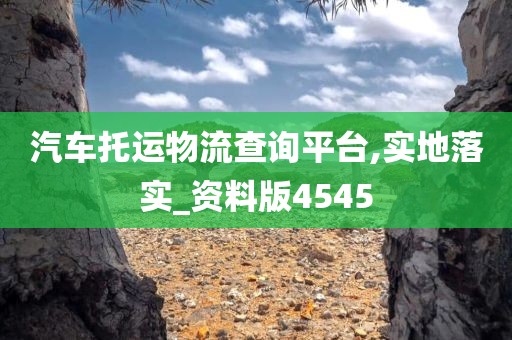 汽车托运物流查询平台,实地落实_资料版4545