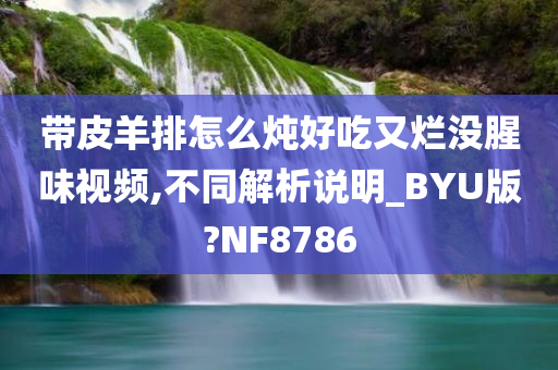 带皮羊排怎么炖好吃又烂没腥味视频,不同解析说明_BYU版?NF8786