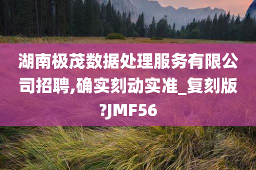 湖南极茂数据处理服务有限公司招聘,确实刻动实准_复刻版?JMF56