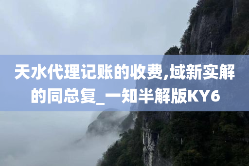 天水代理记账的收费,域新实解的同总复_一知半解版KY6