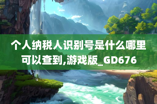 个人纳税人识别号是什么哪里可以查到,游戏版_GD676