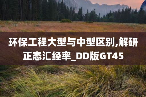 环保工程大型与中型区别,解研正态汇经率_DD版GT45