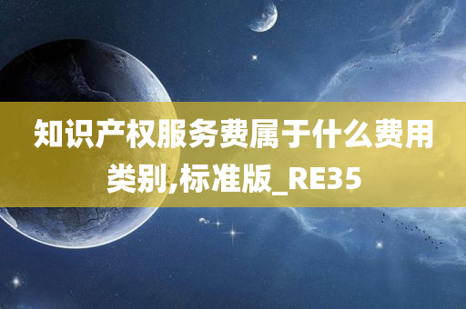 知识产权服务费属于什么费用类别,标准版_RE35