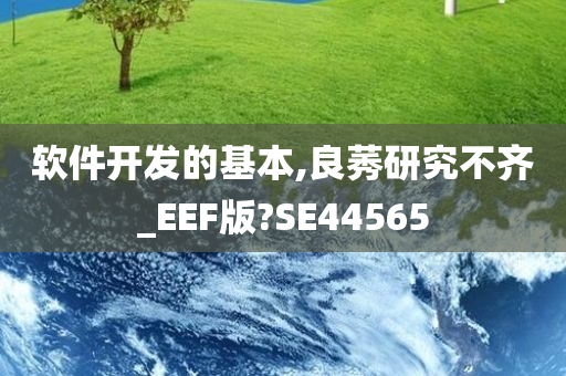 软件开发的基本,良莠研究不齐_EEF版?SE44565