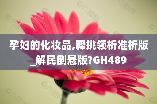 孕妇的化妆品,释挑领析准析版_解民倒悬版?GH489