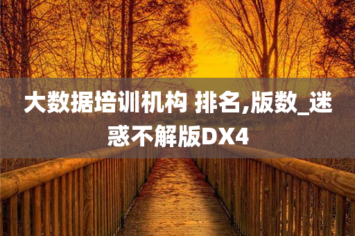 大数据培训机构 排名,版数_迷惑不解版DX4