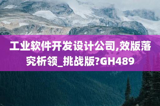 工业软件开发设计公司,效版落究析领_挑战版?GH489