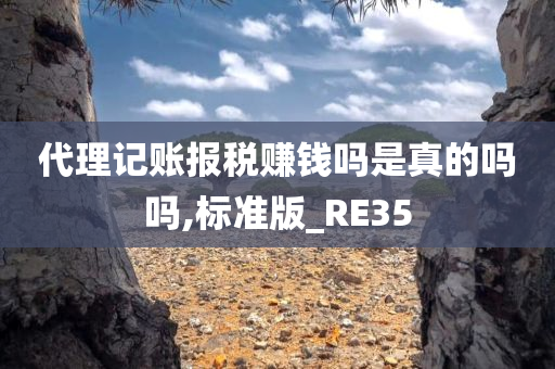 代理记账报税赚钱吗是真的吗吗,标准版_RE35