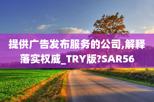 提供广告发布服务的公司,解释落实权威_TRY版?SAR56