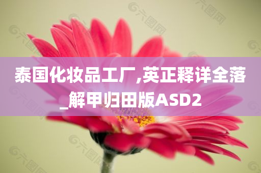 泰国化妆品工厂,英正释详全落_解甲归田版ASD2