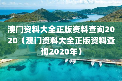 澳门资料大全正版资料查询2020（澳门资料大全正版资料查询2020年）