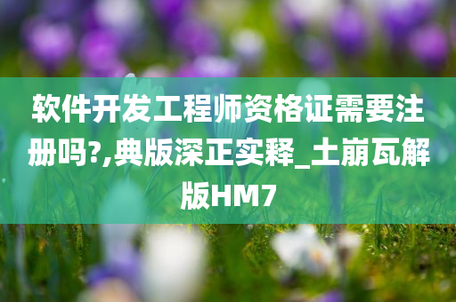 软件开发工程师资格证需要注册吗?,典版深正实释_土崩瓦解版HM7