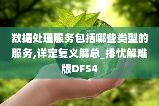 数据处理服务包括哪些类型的服务,详定复义解总_排忧解难版DFS4