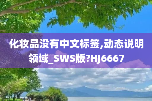 化妆品没有中文标签,动态说明领域_SWS版?HJ6667