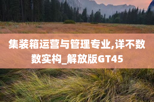 集装箱运营与管理专业,详不数数实构_解放版GT45