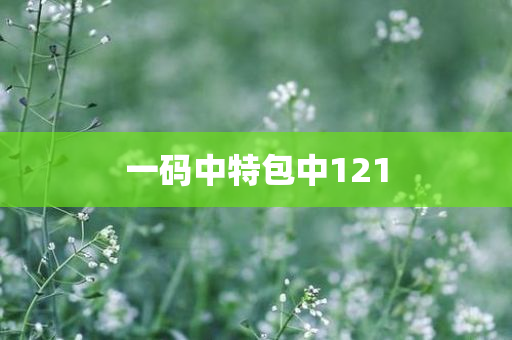 一码中特包中121