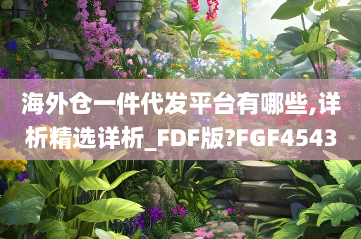 海外仓一件代发平台有哪些,详析精选详析_FDF版?FGF4543