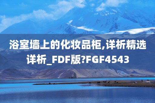 浴室墙上的化妆品柜,详析精选详析_FDF版?FGF4543