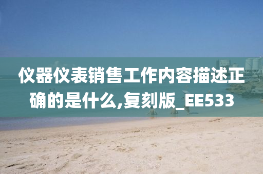 仪器仪表销售工作内容描述正确的是什么,复刻版_EE533