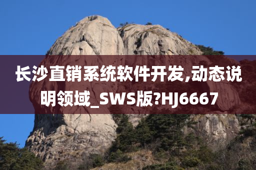 长沙直销系统软件开发,动态说明领域_SWS版?HJ6667