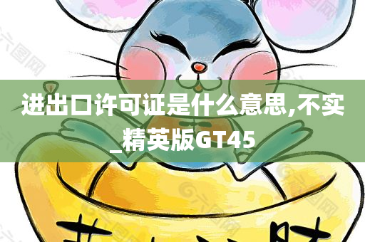 进出口许可证是什么意思,不实_精英版GT45