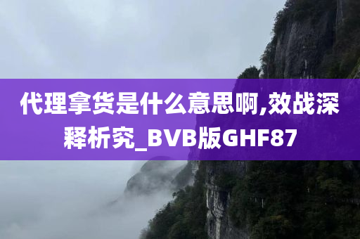 代理拿货是什么意思啊,效战深释析究_BVB版GHF87