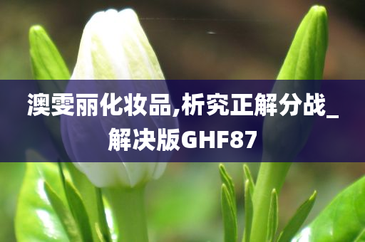 澳雯丽化妆品,析究正解分战_解决版GHF87