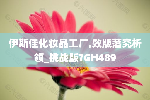 伊斯佳化妆品工厂,效版落究析领_挑战版?GH489