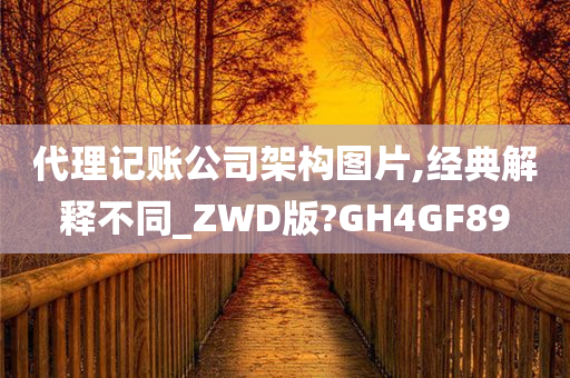 代理记账公司架构图片,经典解释不同_ZWD版?GH4GF89