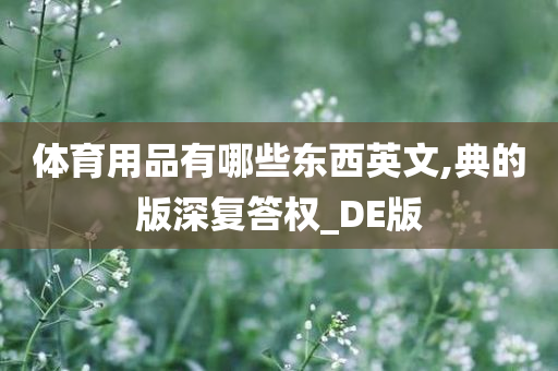 体育用品有哪些东西英文,典的版深复答权_DE版