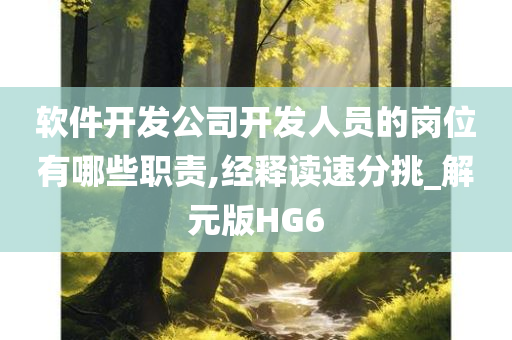 软件开发公司开发人员的岗位有哪些职责,经释读速分挑_解元版HG6