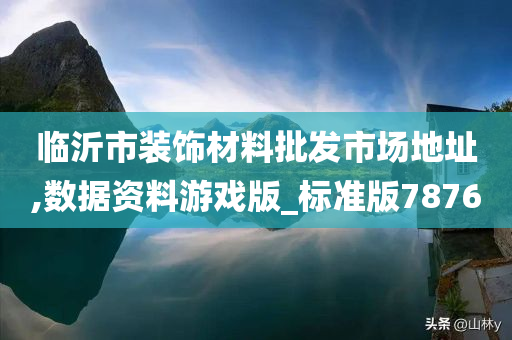 临沂市装饰材料批发市场地址,数据资料游戏版_标准版7876