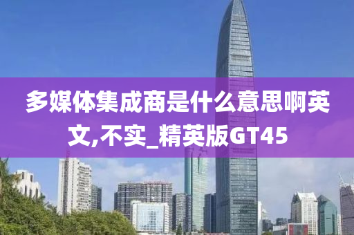 多媒体集成商是什么意思啊英文,不实_精英版GT45