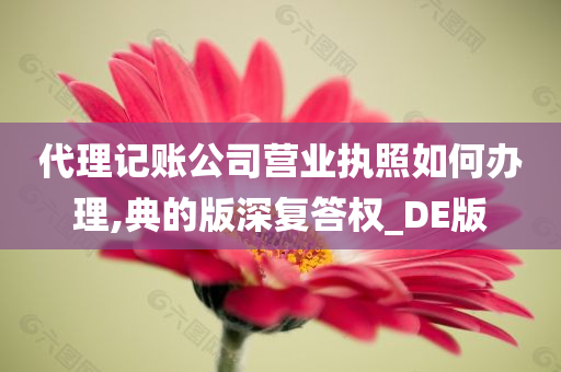 代理记账公司营业执照如何办理,典的版深复答权_DE版