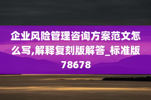 企业风险管理咨询方案范文怎么写,解释复刻版解答_标准版78678