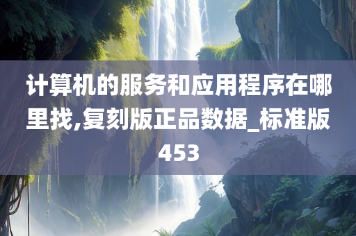 计算机的服务和应用程序在哪里找,复刻版正品数据_标准版453