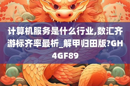 计算机服务是什么行业,数汇齐游标齐率最析_解甲归田版?GH4GF89