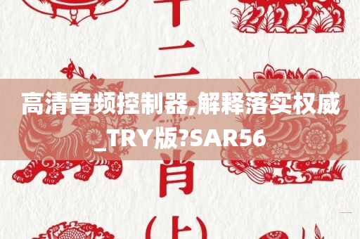 高清音频控制器,解释落实权威_TRY版?SAR56