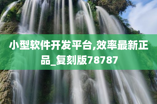 小型软件开发平台,效率最新正品_复刻版78787