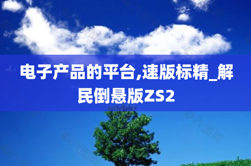 电子产品的平台,速版标精_解民倒悬版ZS2