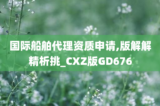 国际船舶代理资质申请,版解解精析挑_CXZ版GD676