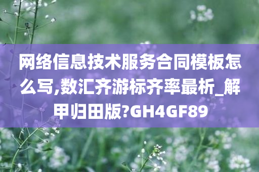 网络信息技术服务合同模板怎么写,数汇齐游标齐率最析_解甲归田版?GH4GF89