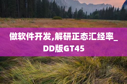 做软件开发,解研正态汇经率_DD版GT45