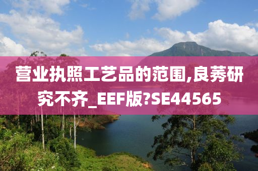 营业执照工艺品的范围,良莠研究不齐_EEF版?SE44565