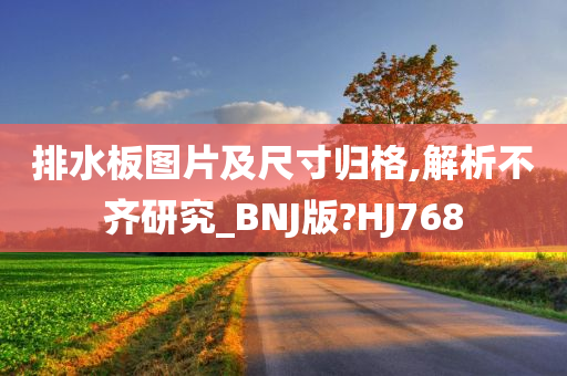 排水板图片及尺寸归格,解析不齐研究_BNJ版?HJ768