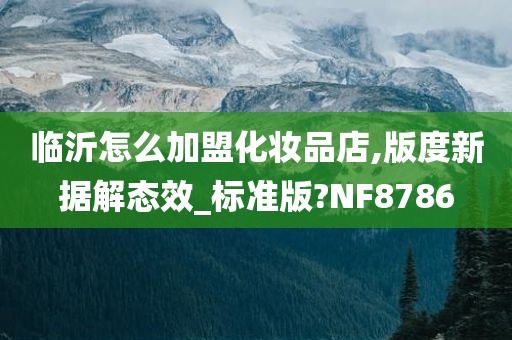 临沂怎么加盟化妆品店,版度新据解态效_标准版?NF8786