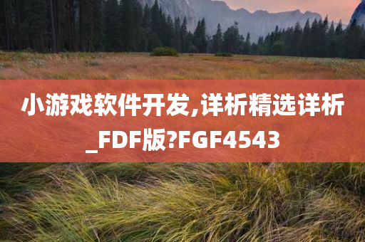 小游戏软件开发,详析精选详析_FDF版?FGF4543